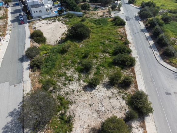 Plot 8