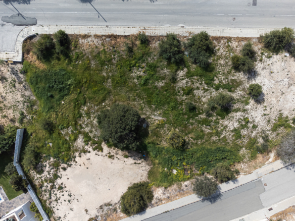 Plot 8